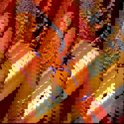 SandraPartyNEUINBAMBOO