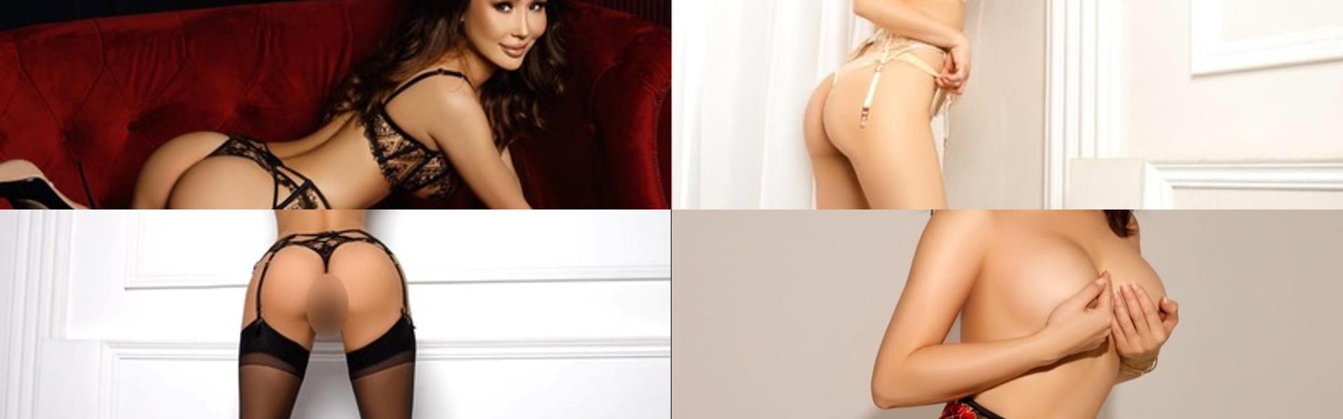 프로필 헤더 이미지