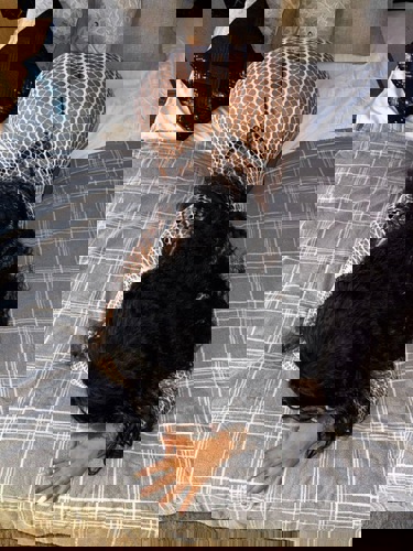 Sol151578 - +4915781138959, +491578-1138959, 01578-1138959