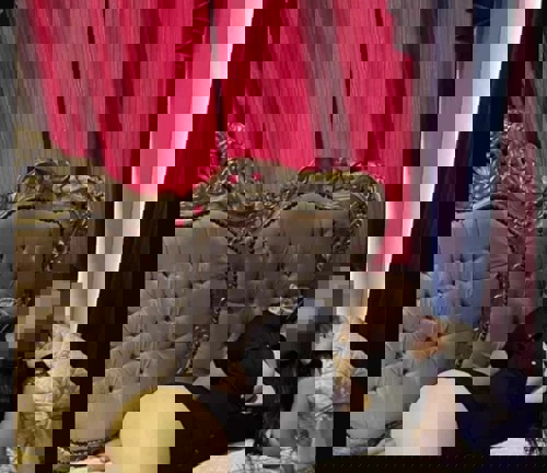 Andreea15783 - +4915783739566, +491578-3739566, 01578-3739566