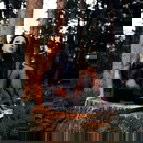 Εικόνα προφίλ