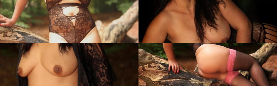 Zaglavna slika profila