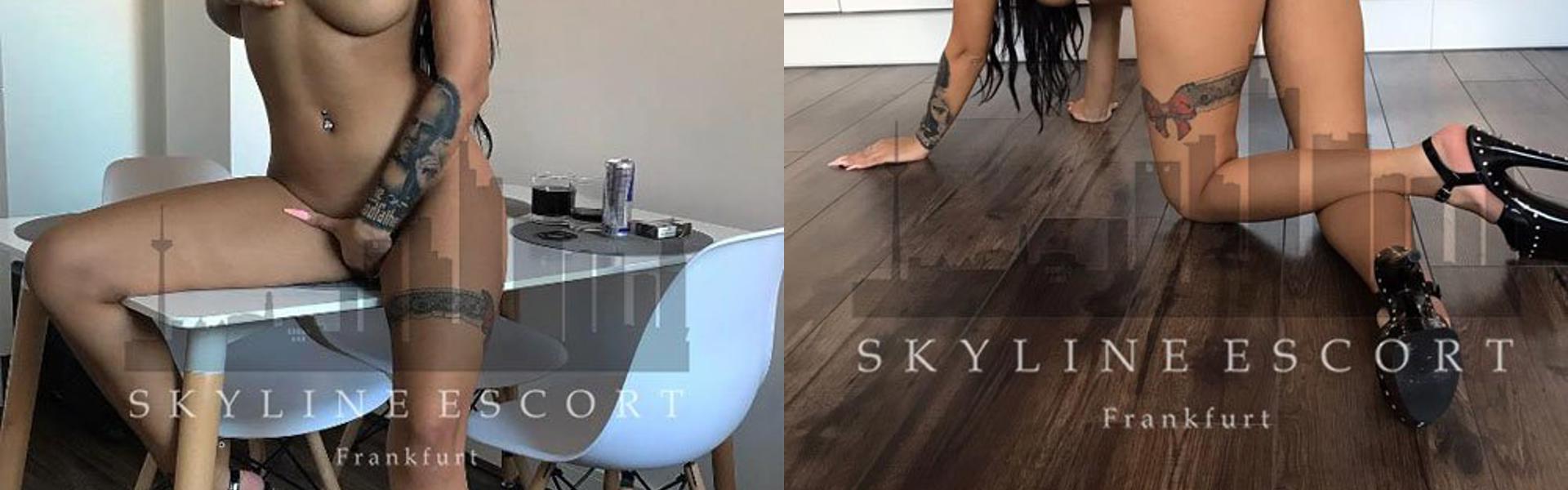 Zaglavna slika profila