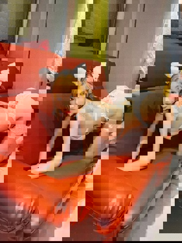 Leah1151 - +4915114910971, +491511-4910971, 01511-4910971