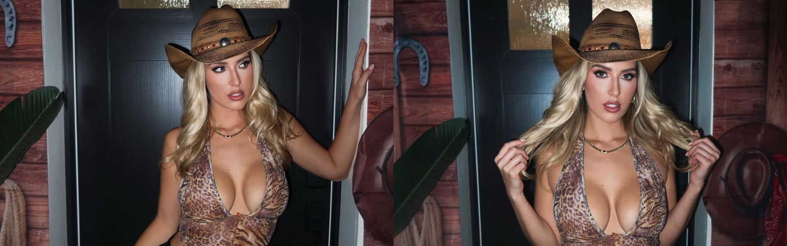 प्रोफ़ाइल हैडर छवि