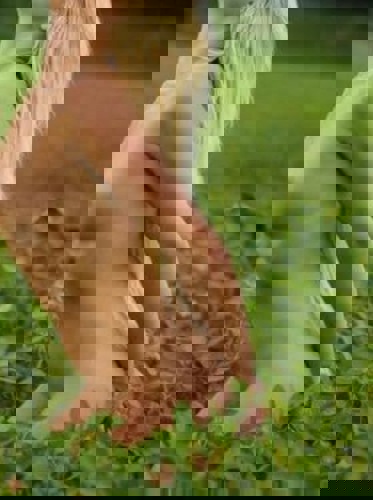 Viktoria15 - +4915775564337, +491577-5564337, 01577-5564337