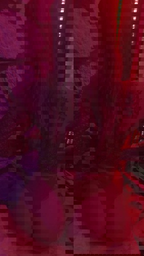 Bella16310 - +491631014374, +49163-1014374, 0163-1014374