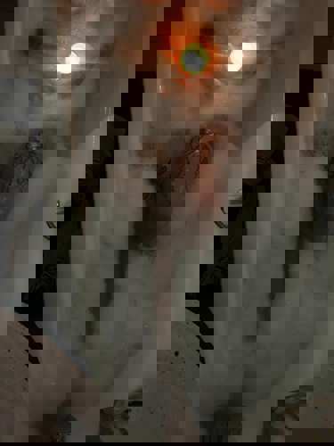 LeaDieKleinstederStadt15 - +4915215025218, +491521-5025218, 01521-5025218