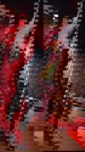 Anna1152179 - +4915217913629, +491521-7913629, 01521-7913629