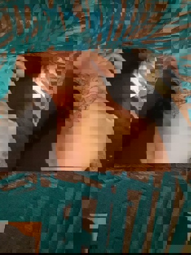 ANSCHIimHaus107 - +491637780742, +49163-7780742, 0163-7780742