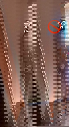 MiaPartyfrauNEU - +4915215118144, +491521-5118144, 01521-5118144