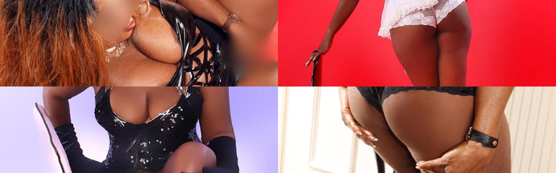 Zaglavna slika profila