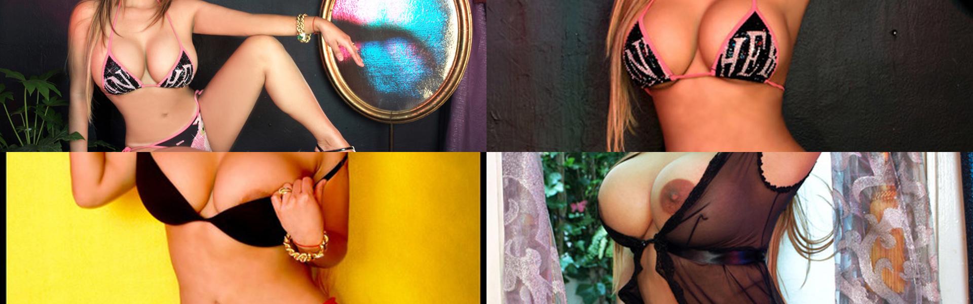 Imagen de encabezado del perfil