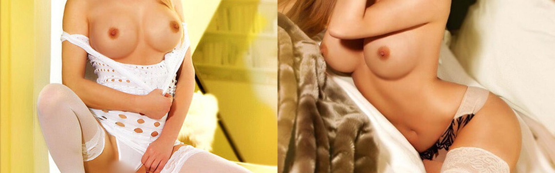 프로필 헤더 이미지