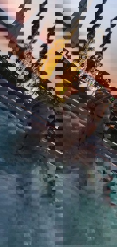 DeutscheIsabelleprivatbesuchbar - +4916096665360, +49160-96665360, 0160-96665360