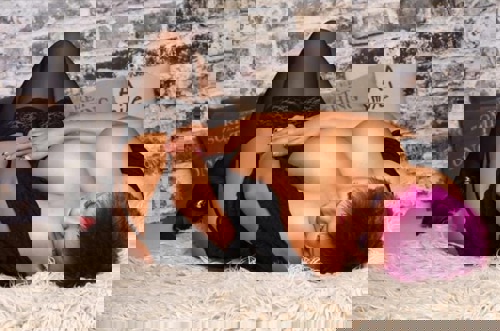 AlicemitNaturOW110E - +491744928308, +49174-4928308, 0174-4928308