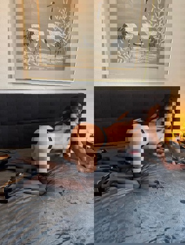 Bella152150 - +4915215029068, +491521-5029068, 01521-5029068