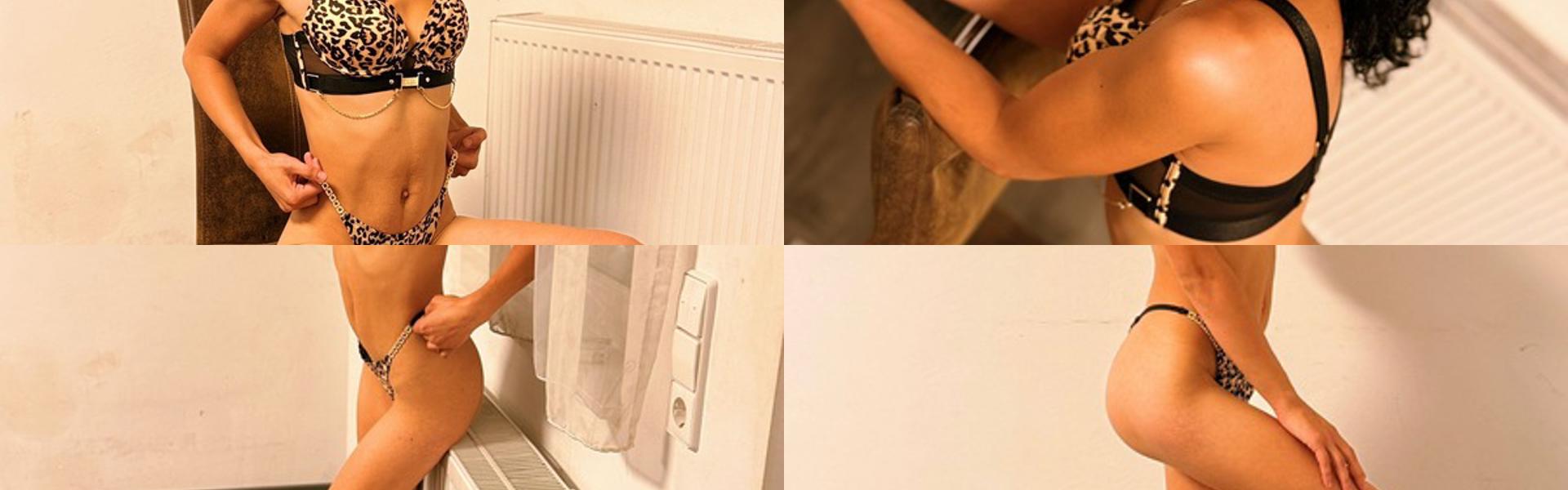 תמונת כותרת הפרופיל