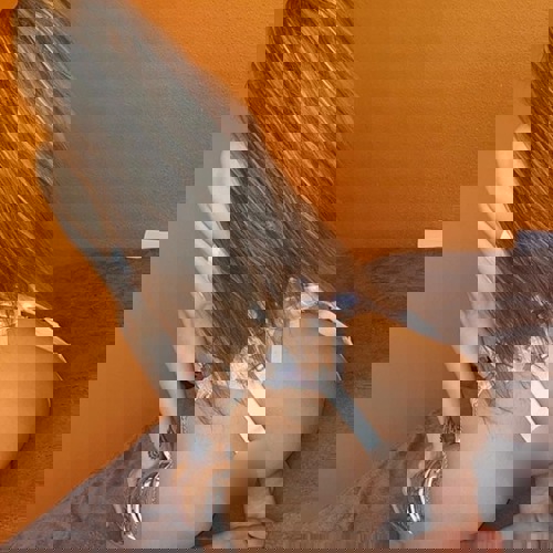 Mirella36 - +4936305552387, +4936305-552387, 036305-552387