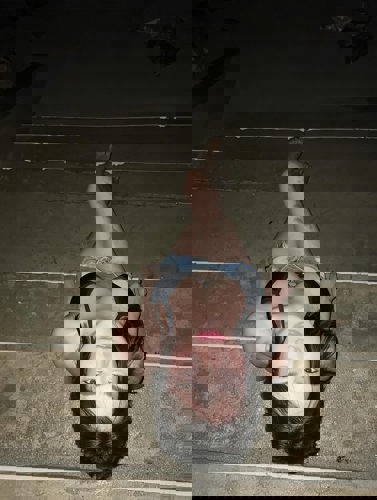 Gebby - +62882003143325, +62882-0031-43325, 0882-0031-43325