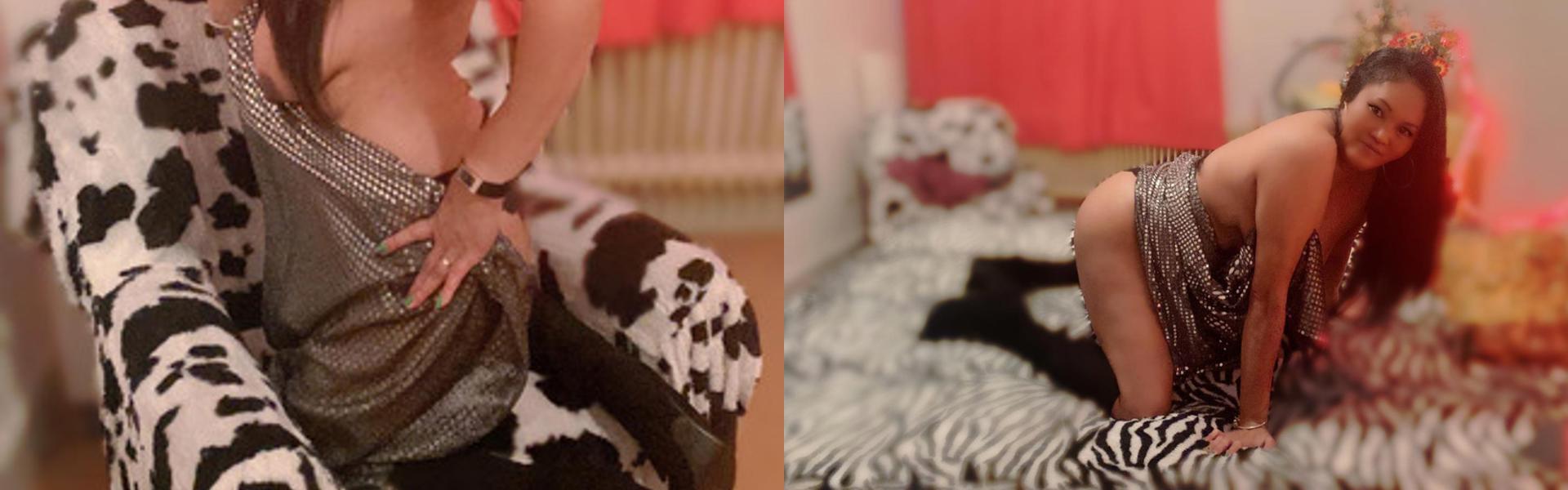 Ảnh tiêu đề hồ sơ