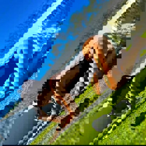 Natasha15783 - +4915783721984, +491578-3721984, 01578-3721984