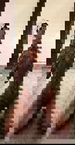 DeutschesTraumgirl18NEUNUMMER17 - +491772522664, +49177-2522664, 0177-2522664