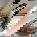 תמונת הפרופיל