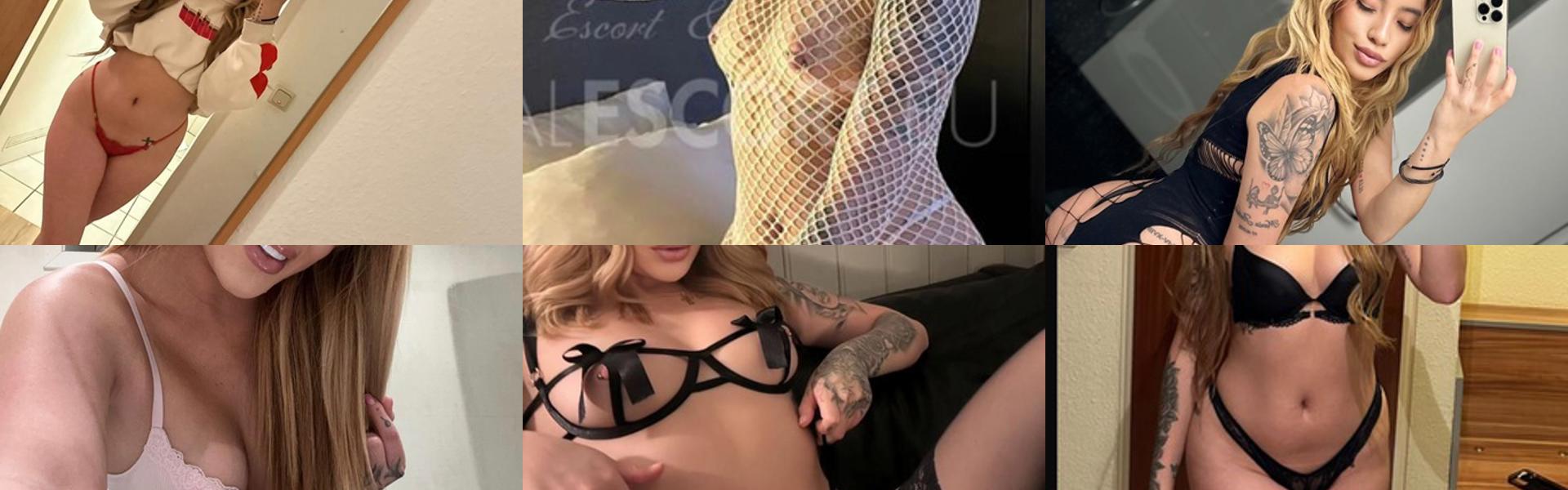 ภาพส่วนหัวโปรไฟล์