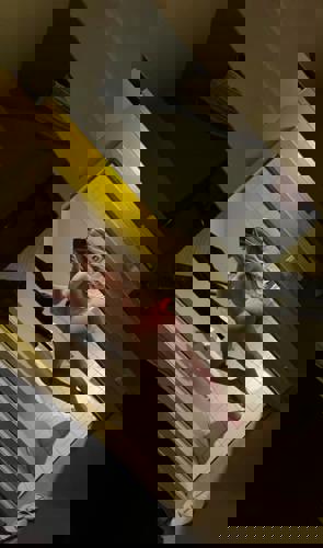 SexyMiracle7 - +33780977417, +337-80 97 74 17, 07-80-97-74-17