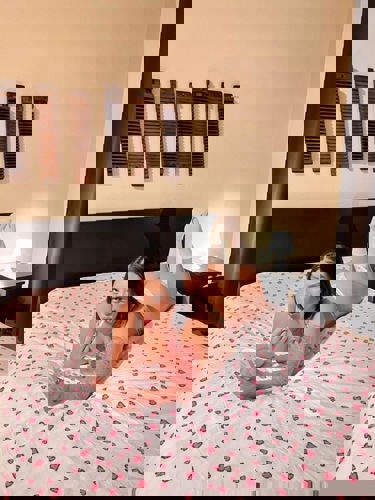 BarbaraLatina1 - +491748836935, +49174-8836935, 0174-8836935