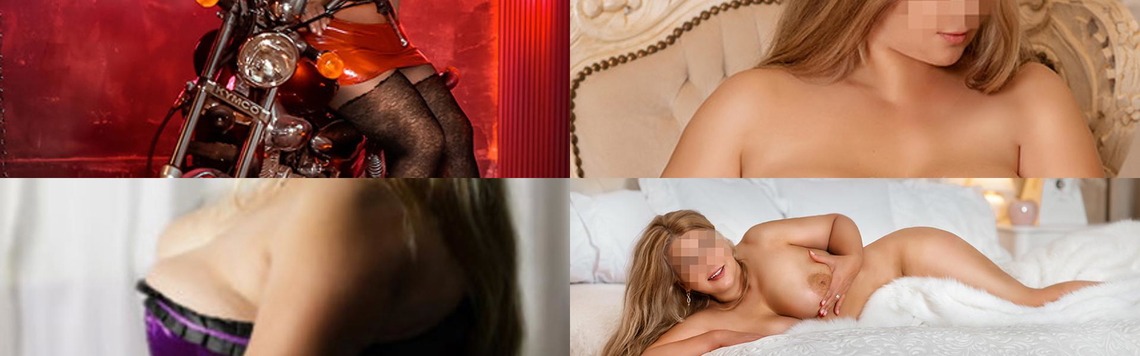 Profilio antraštės nuotrauka