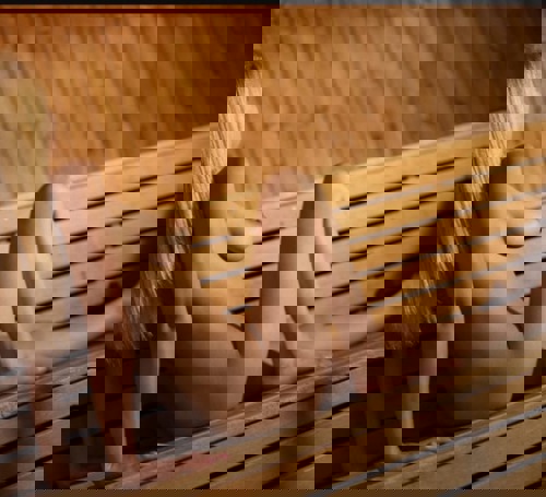 MimiEscortbis30km - +491634485962, +49163-4485962, 0163-4485962