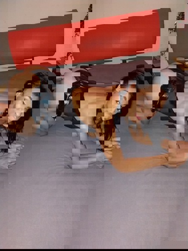 SofiBrandneu1 - +4915783716137, +491578-3716137, 01578-3716137