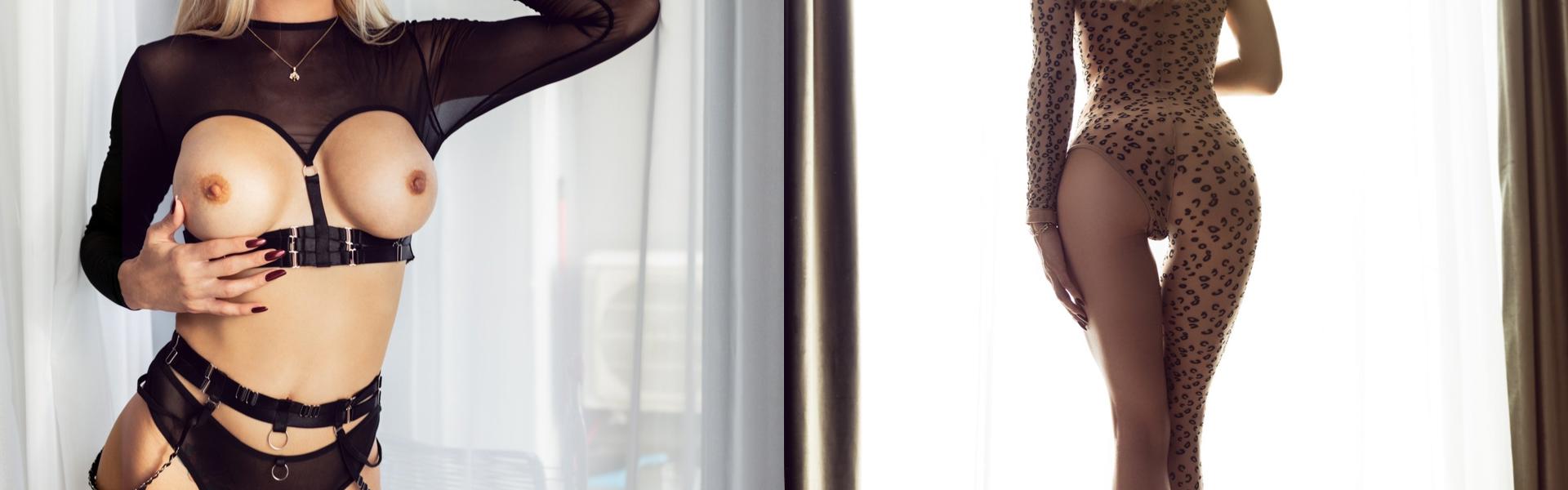 Zaglavna slika profila