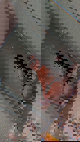 Yesica34 - +4934602819104, +4934602-819104, 034602-819104