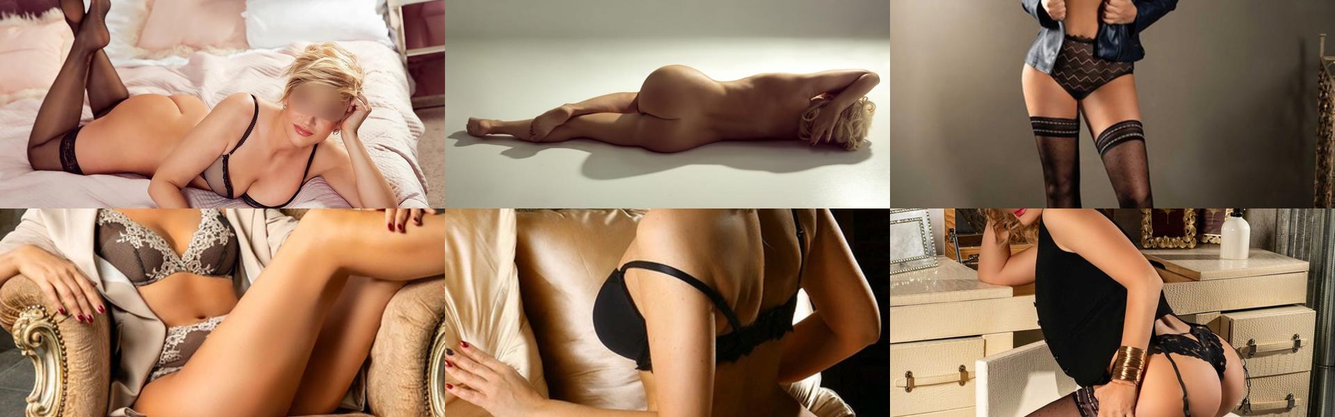 Zaglavna slika profila