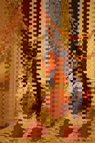 ZarinanurberWhatsApperreichbar3 - +49353899474762, +4935389-9474762, 035389-9474762