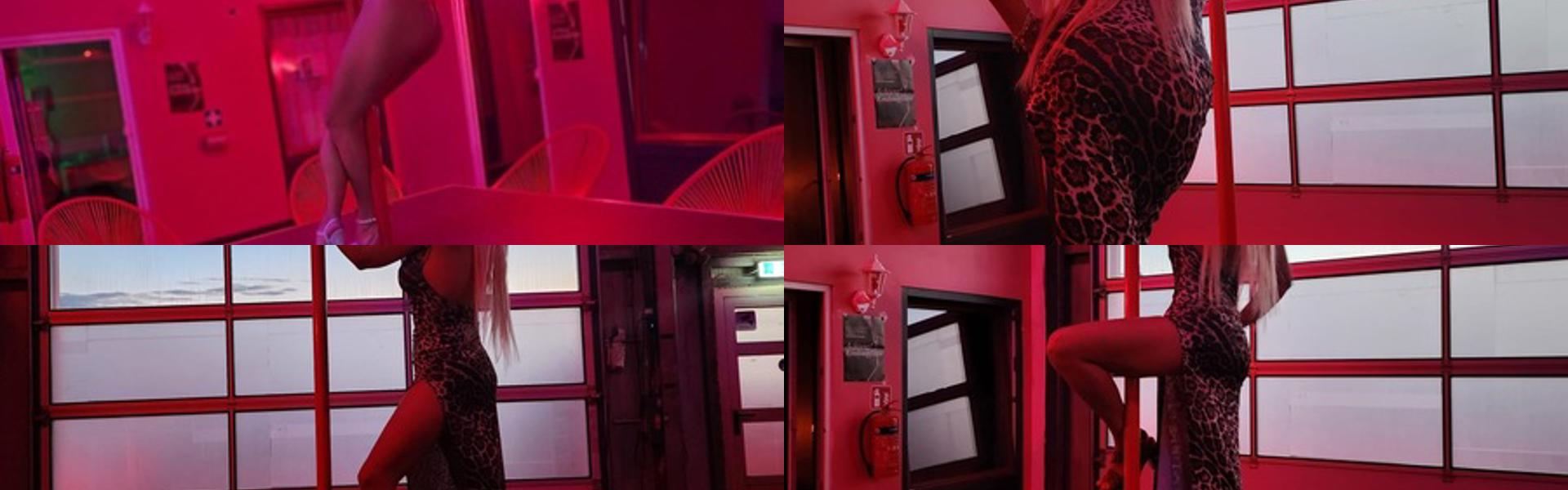 Immagine intestazione profilo