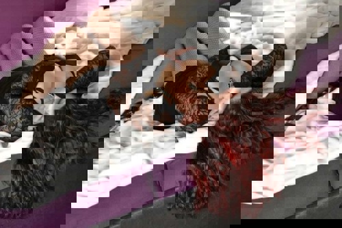 Dunja1 - +491639316290, +49163-9316290, 0163-9316290