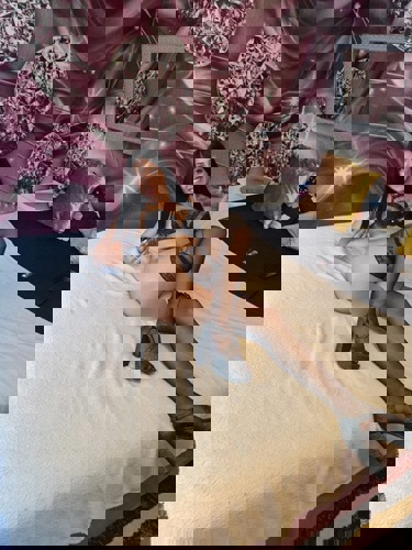 EllaBella1 - +4915215055122, +491521-5055122, 01521-5055122