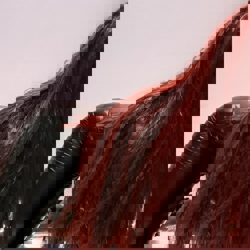 Michelle1512 - +4915124821249, +491512-4821249, 01512-4821249