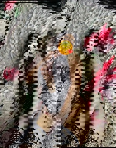 Sara117615 - +4917615726052, +49176-15726052, 0176-15726052