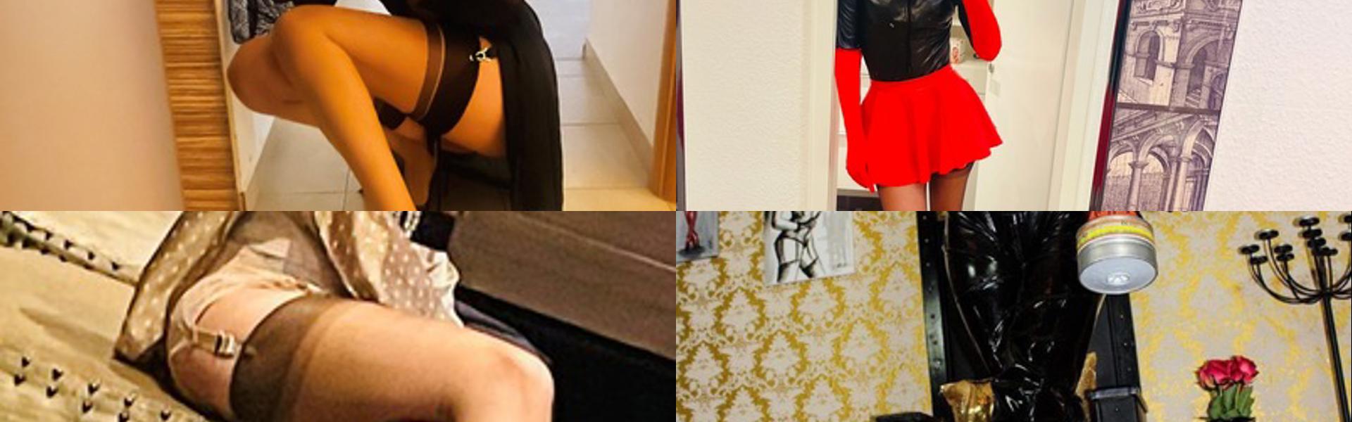 ภาพส่วนหัวโปรไฟล์