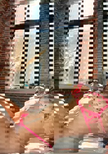 Abella9 - +19102901638, +1910-290-1638, (910)-290-1638