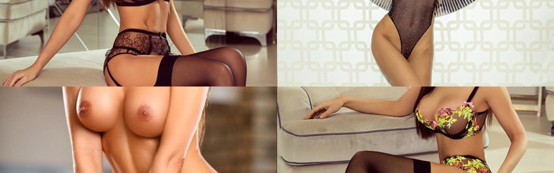 प्रोफ़ाइल हैडर छवि