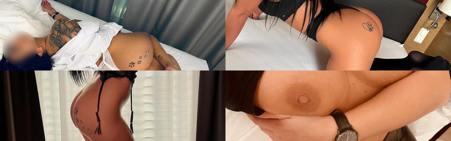 Zaglavna slika profila