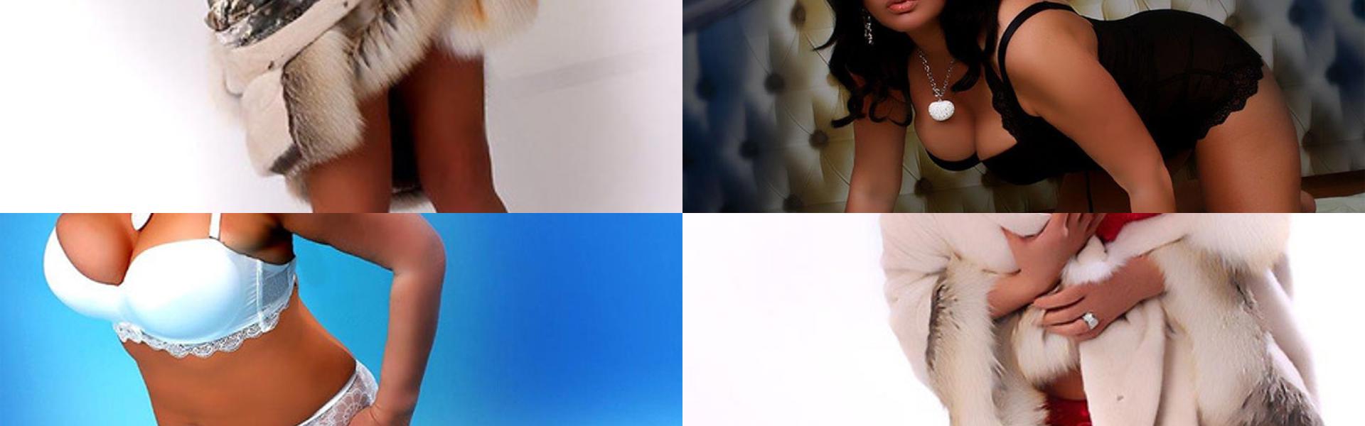 प्रोफ़ाइल हैडर छवि