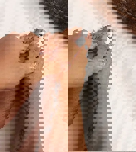 GigiNeueNummerNurWhatsapp - +491637780168, +49163-7780168, 0163-7780168