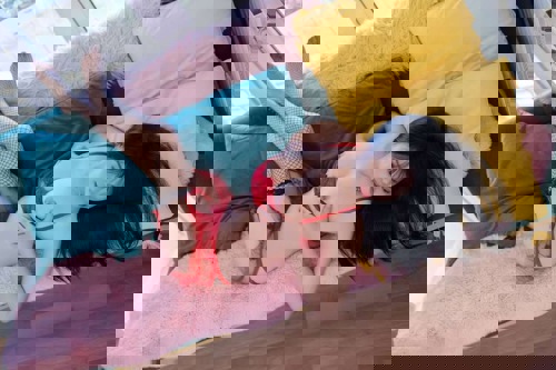 Lili11636 - +491636593283, +49163-6593283, 0163-6593283